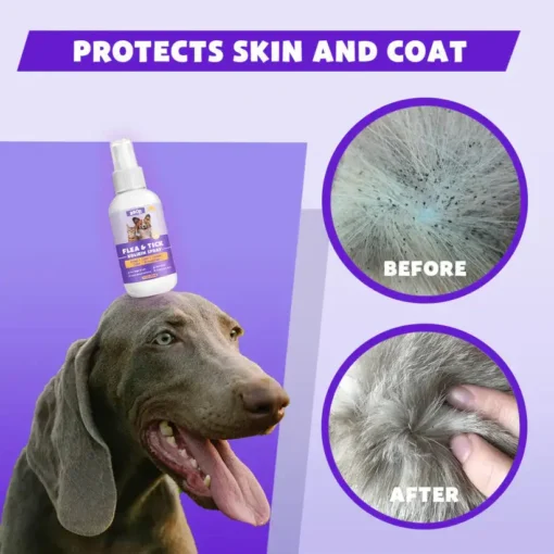 BBOJI™ Flea & Tick Kolirin Spray