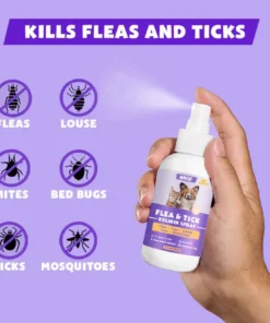 BBOJI™ Flea & Tick Kolirin Spray