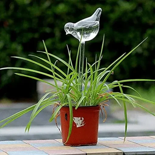 Self Plant Waterer